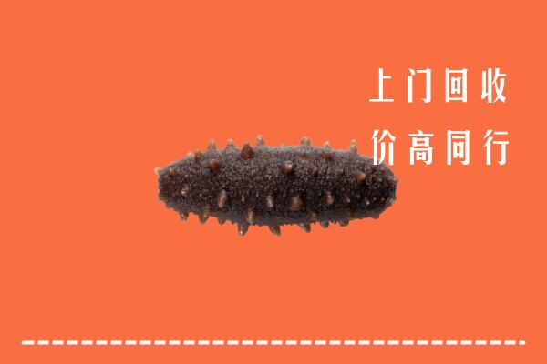 那曲回收海参